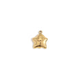 Dreamy Star Charm